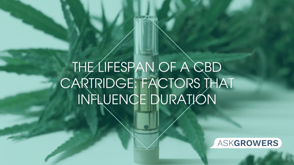 The Lifespan of a CBD Cartridge: Factors That Influence Duration